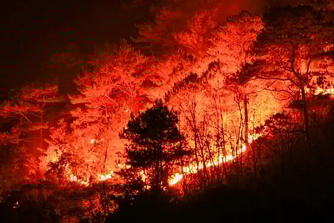 Bonfires, rubbish burning among causes of Mountain Province fires — BFP