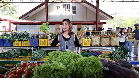 Local-first bill seeks to shield farmers from price shocks, secure food supply