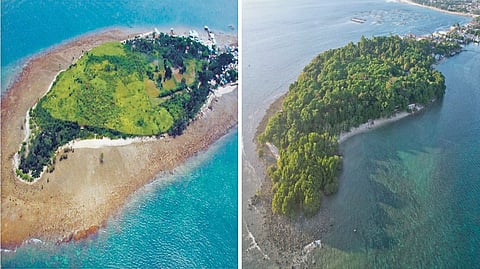 FROM a sandbar and grassland in 2009 (left), a coast in Punta Dumalag, Davao City, managed by the Aboitiz Cleanergy Park, is now dense with mangroves and trees (right). This is in part due to the collective efforts of volunteers in sustaining the Park’s mangrove reforestation site.