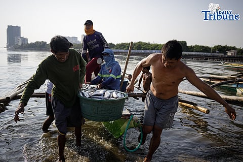 Day in the life in Bulungan Seafood Market