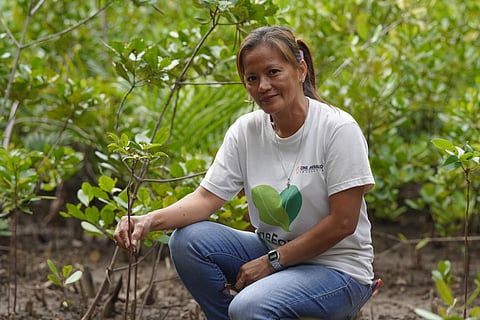AKLANON Retchie Sacapaño is part of the community in charge of growing the mangrove forest in Ibajay, Aklan with the help of OMF’s One For Trees.