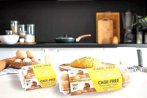CAGE-free eggs