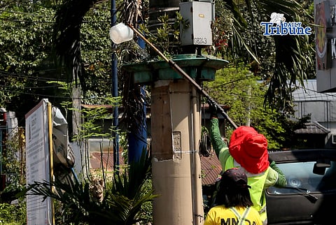 (April 24 2026) MMDA workers seen watering the plant to avoid drying, due to the intense heat of the Sun, along Edsa in Quezon City, on Friday April 24 2026. According to the PAGASA, Metro Manila today faces "extreme caution" due to the danger of heat index levels (37°C–39°C). Photo/Analy Labor
