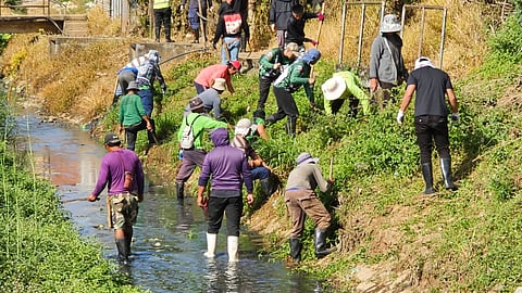 Farmers revive ‘binnadang’ tradition