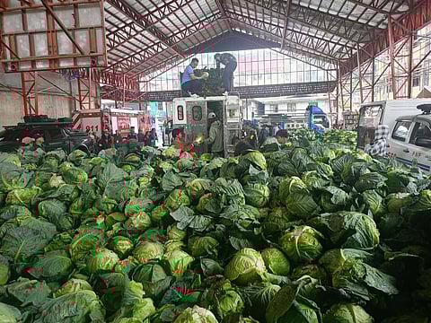 Cordillera farmers’ ‘binnadang’ spirit sustains aid in times of crisis