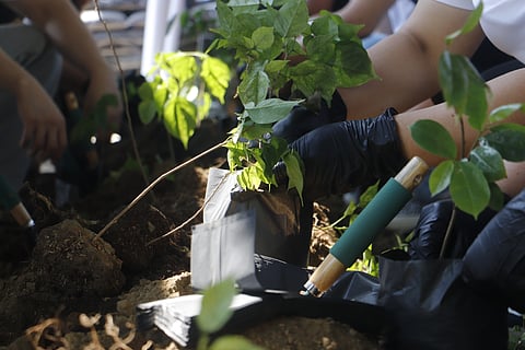 New World Makati turns Earth Hour into full campaign