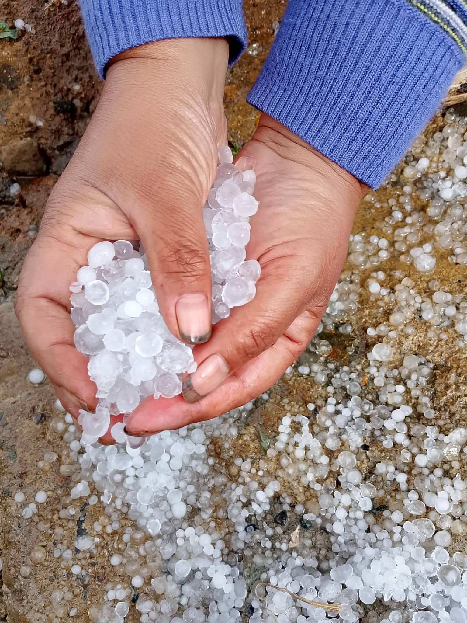 Residents of Barangay Sadsadan in Bauko, Mountain Province, observe a rare hailstorm that struck the area Tuesday afternoon. The storm, which lasted about 40 minutes, brought heavy rain and falling ice that damaged local crops and swept away farming equipment near the river.

