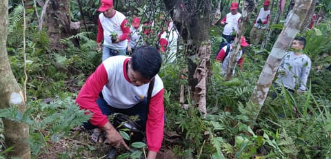 Media workers in Eastern Visayas received their pay as participants of DOLE's TUPAD program. Some 100 media workers planted native trees in a watershed and did a coastal clean up in the city as part of their work.