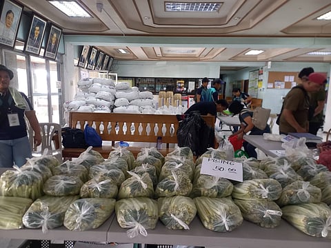 Photo Courtesy of Benguet PLGU