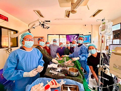 Breakthrough in Regional Healthcare. Surgeons at the Western Visayas Medical Center achieve a pioneering procedure with the successful removal of a juvenile nasoangiofibroma through endoscopic surgery.