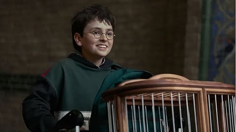CALEB McLaughlin as Harry Potter. 