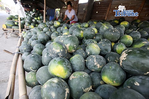 (May 13 2026) Fruit vendor arranges her selling Watermelon or (Pakwan) along Pulilan regional Road in Pulilan Bulacan on Wednesday May 13 2026. Watermelon in the Philippines peaks during the hot, dry summer months from March to June, the highest quality and most plentiful harvest occurs during this period, with peak supply often found in May. Photo/Analy Labor