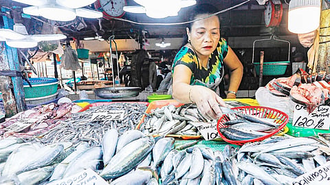 A FISH vendor checks on her merchandise as she waits for customers at the Bagong Palengke market in Taytay, Rizal.