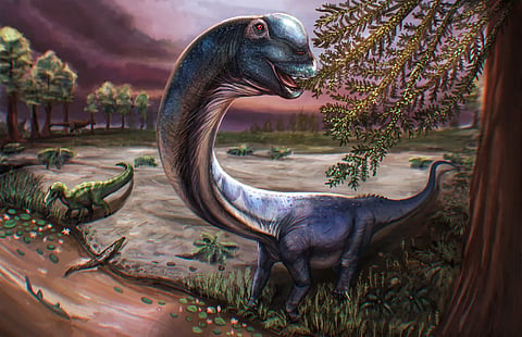 AN artist’s impression of the Cretaceous period sauropod dinosaur Nagatitan chaiyaphumensis. 