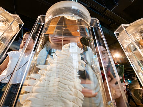 Visitors explore the National Museum of Natural History in Manila on 16 May 2026, ahead of International Museum Day. In commemoration of the global event, the National Museum will be hosting a series of special activities for the public.