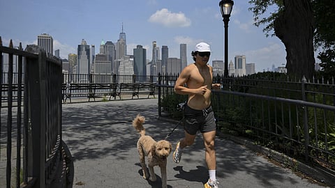 SCOOP bill tackles dog poops