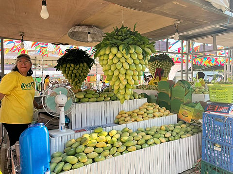 Showcasing the Mango Capital. Guimaras celebrates its famed produce and cultural pride through the Manggahan Festival 2026, held from May 15 to 24.