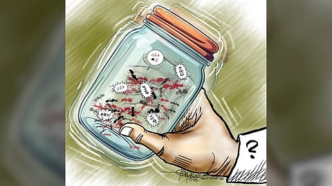 Who shakes the jar?