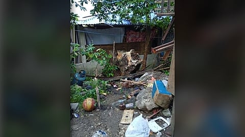 Rolling boulder kills mother, injures two young sons