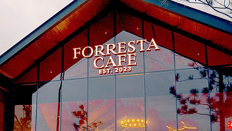 A castle-like café tucked away in an open field, offering a peaceful escape just minutes from the city.