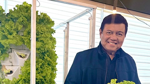 BILLIONAIRE businessman and former politician Manuel B. Villar Jr. harvests fresh lettuce from a space-saving vertical hydroponic/aeroponic tower installed at his headquarters office.

Growing food in the office is Villar’s “small but meaningful way to support food security,” reflecting his long-standing legislative background. During his time in public service, he introduced Senate bills to promote hydroponics, maximize the use of scarce land resources, and modernize agriculture.