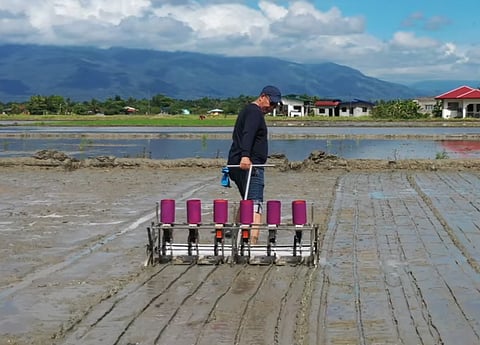 Palay is poured into dispensers which efficiently release seeds while it is pulled 