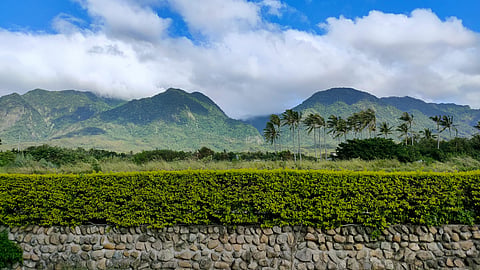 MOUNTAIN view.