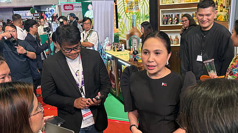 Panhua opens Sarangani steel plant phase