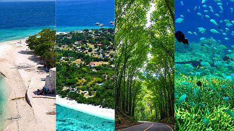 Explore Bohol’s UNESCO Global Geopark status, from the iconic Chocolate Hills and Bilar Man-Made Forest to the Danajon Double Barrier Reef, Pamilacan and Balicasag Islands. Discover how eco-friendly Bohol-Panglao International Airport and community-led tourism highlight sustainability, rich marine biodiversity, and the island’s 150-million-year geological history.