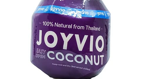 Chinese firms eye Philippines for coconut processing plants