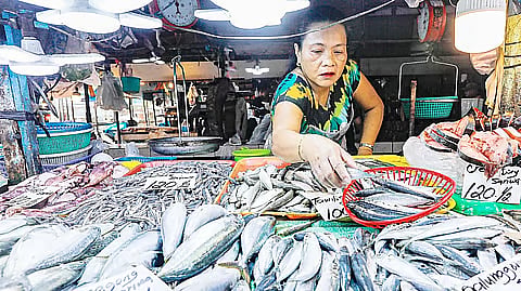 
New fish kill reported in Lanao del Norte coastal towns