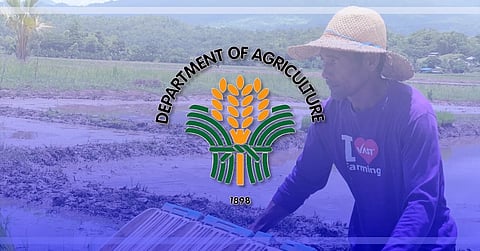 The Department of Agriculture has reactivated the Task Force El Niño and begun preparing interventions for farmers as at least 15 areas, mostly in Luzon, experience moisture stress and agricultural losses surpass P3 billion. The agency warned that a possible El Niño beginning in July or August could reduce rice output, threaten rain-fed farms and affect the country's wet season cropping cycle through early next year.