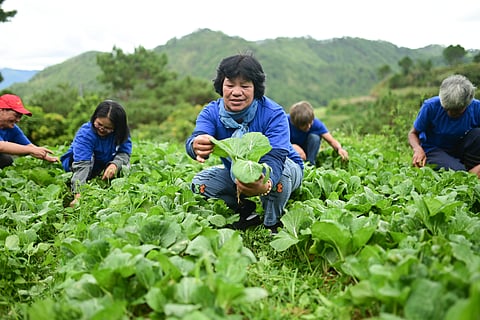 THTROUGH the SM Foundation Kabalikat sa Kabuhayan Market Linkage Program, farmers are empowered to become agri-entrepreneurs, recognizing the hard work and determination behind every harvest.