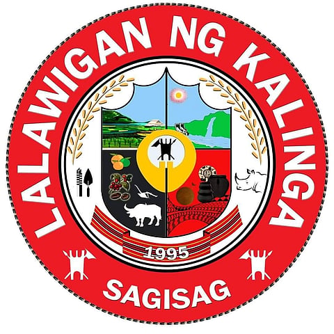 Kalinga eyes cash aid for unmarried residents aged 51 to 59