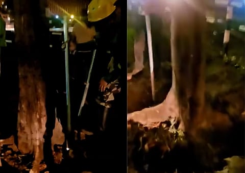Screenshots from the video uploaded by concerned netizen about eartballing activities along Roxas Boulevard in Manila on Thursday evening, 11 June. (Video from: Tay Mesario) 