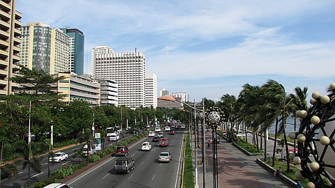 DENR probes overnight tree removal along Roxas Boulevard