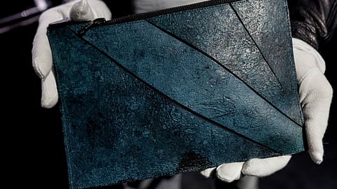 Bag made from T-Rex cells fails to sell 
at auction