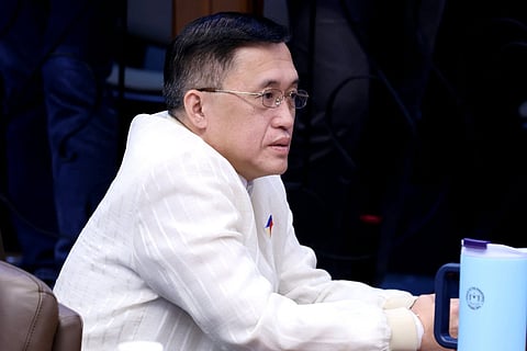 SENATOR Bong Go