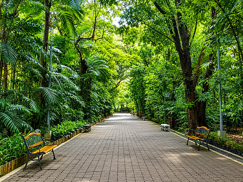 Melt your stress away in Arroceros Forest Park.