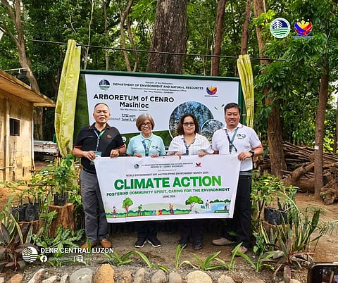 300 native seedlings grown in DENR Zambales arboretum
