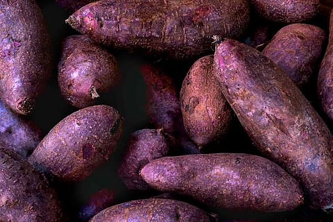 Ube eyed to trim $10-B farm trade gap