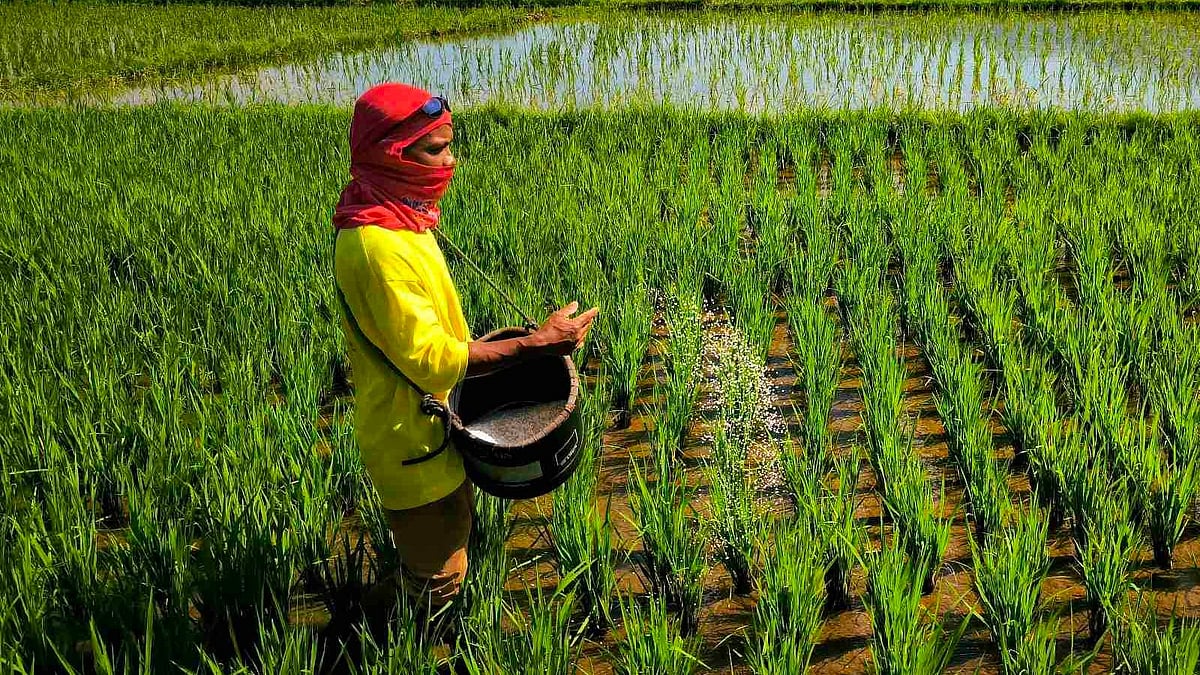 DA keen on boosting agri sector in collab with South Korean coop