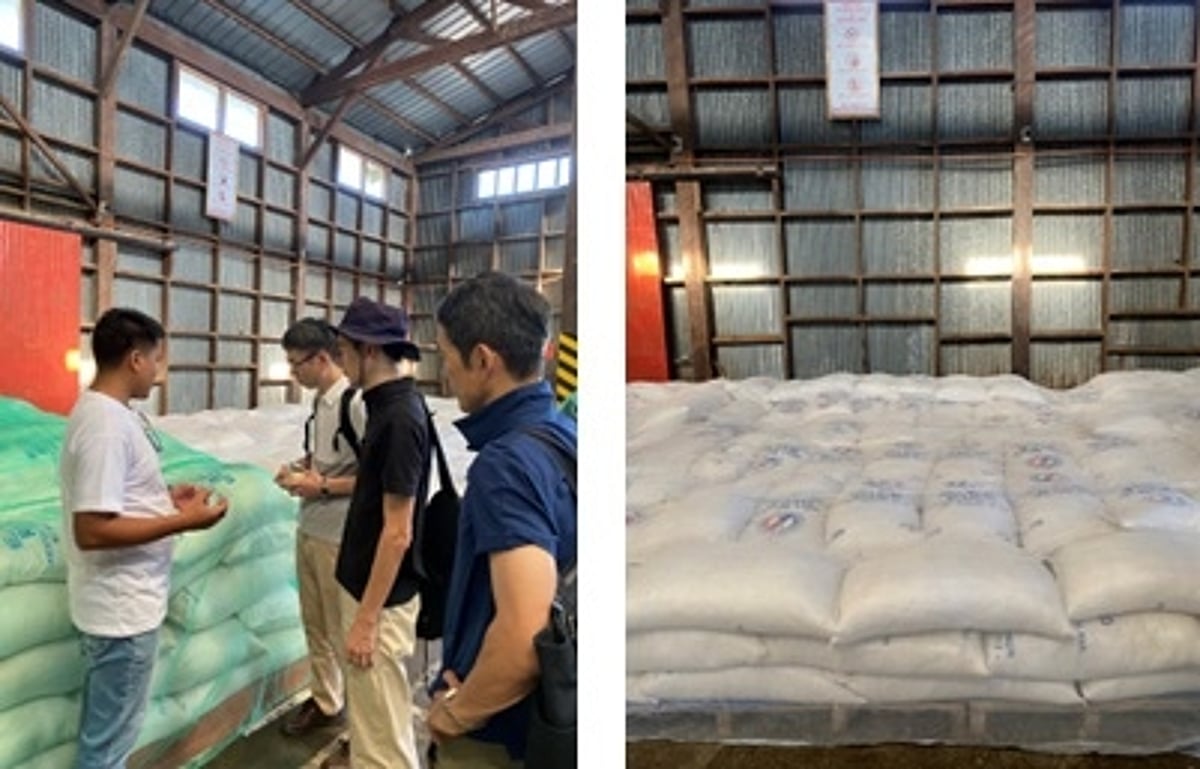 Japan earns plaudits for rice