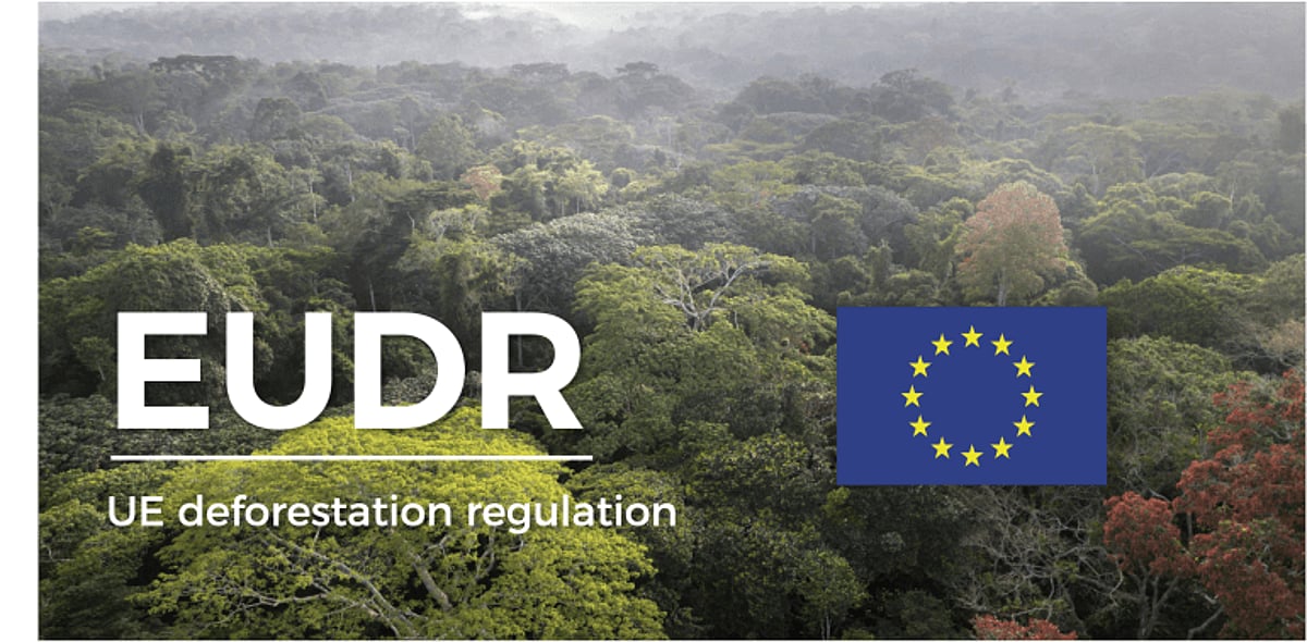 Readiness to comply with EU deforestation regulation requirements urged