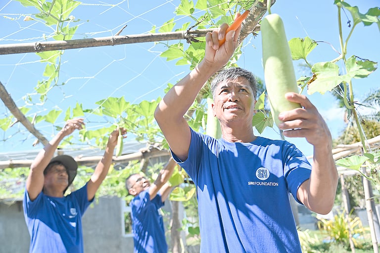 SM ramps up small farming programs