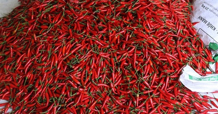 More chilis seen as key taming price spikes — DA