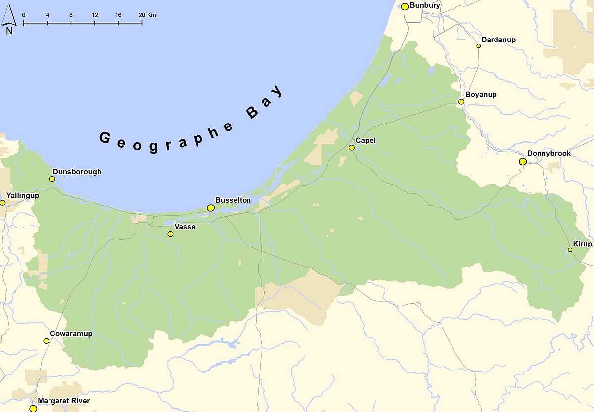 13-Year-Old Swims 4km for Hours to Save Family in Australia