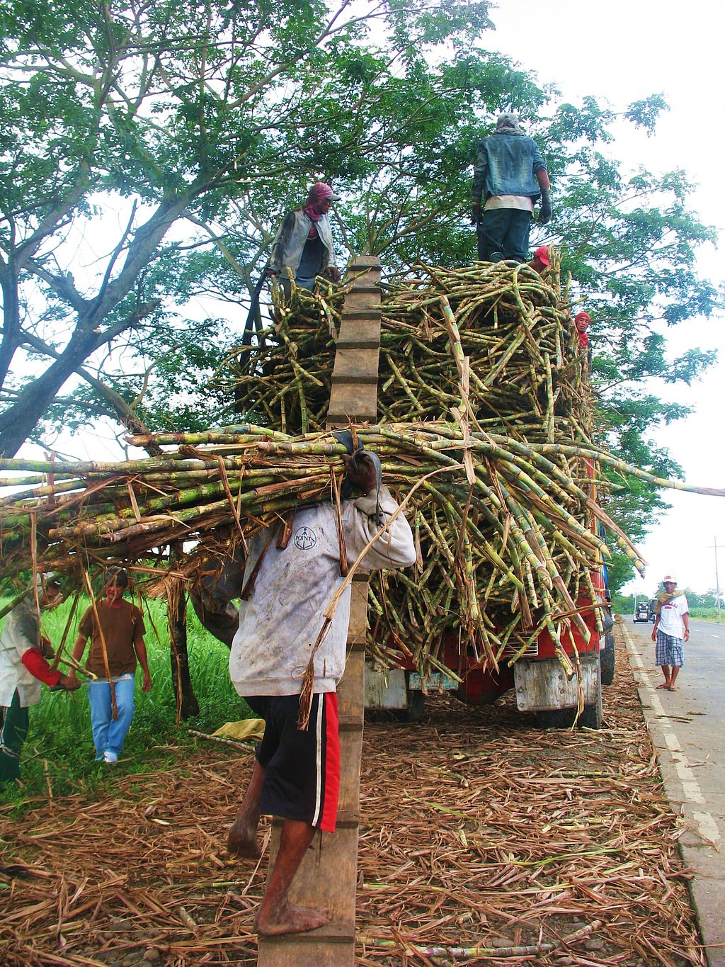 Filipino Food Month 2026: Connecting Southeast Asia, bridging heritage ...