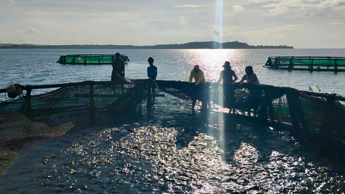 Fuel crisis threatens GenSan fishing industry — GLOBAL — ERYU PROJECT