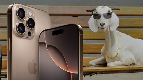 Flipkart Goat Sale 2025